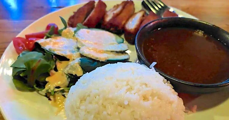 chicken katsu-2 chicken katsu a delicious Japanese dish with white rice, green salad containing tomatoes with ginger salad dressing, and boneless fried chicken cutlet