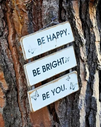 3 daily life positive affirmation quotes hanging on a tree that says- be happy, be bright, and be you